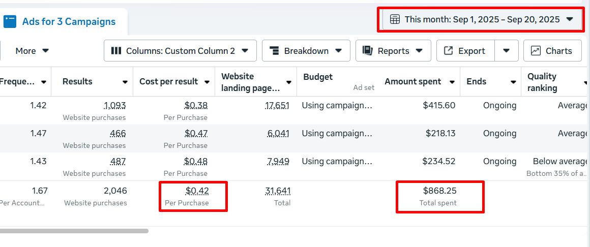 Facebook Ad Campaign 3